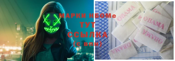 стафф Алексин