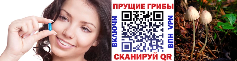 Псилоцибиновые грибы Psilocybe купить наркоту Тарко-Сале